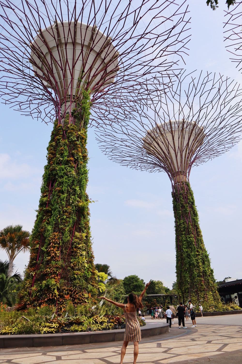 Gardens by the Bay